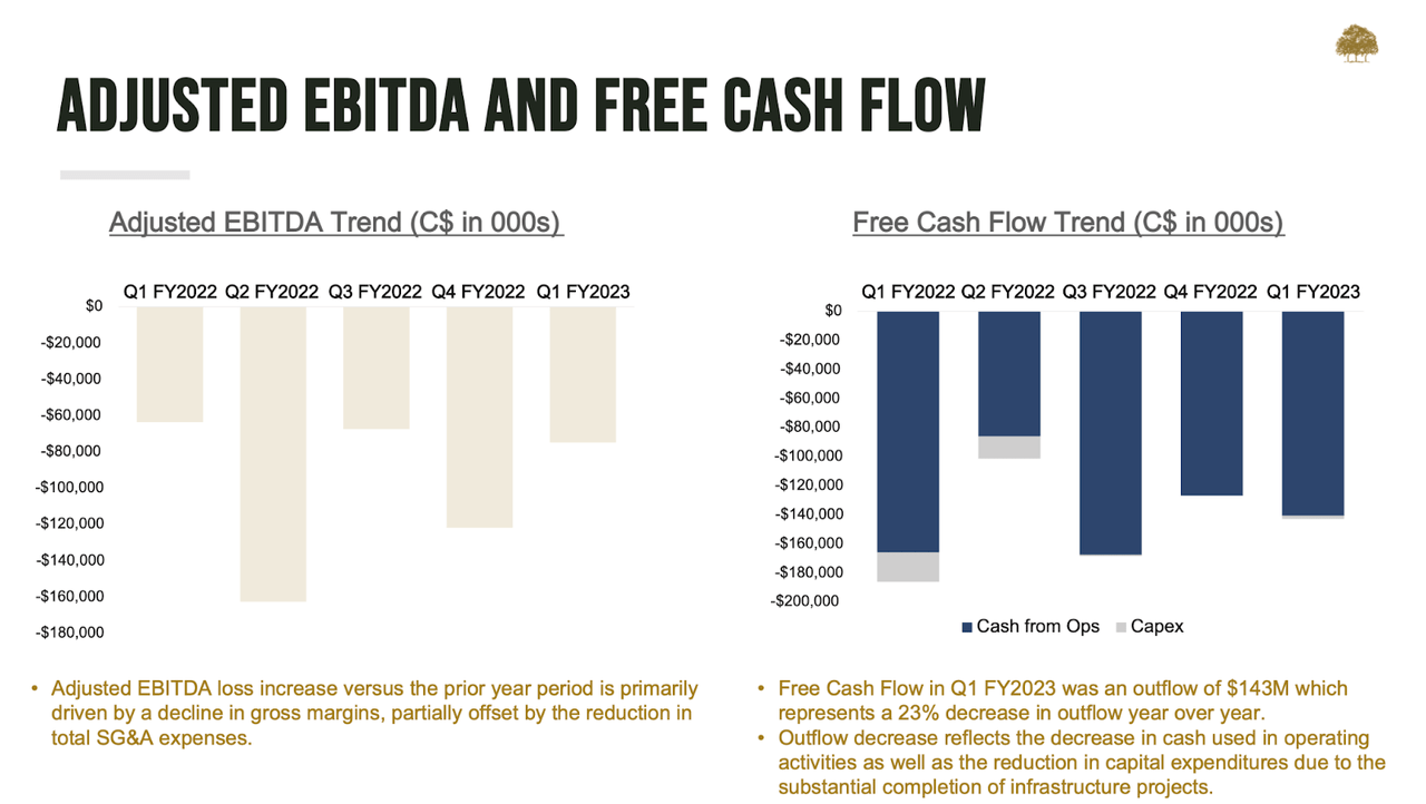 adjusted EBITDA and Free Cash Flow