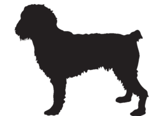 40+DHI (2) DOG AUG22-23 open source dog art 5 from dividenddogcatcher.com