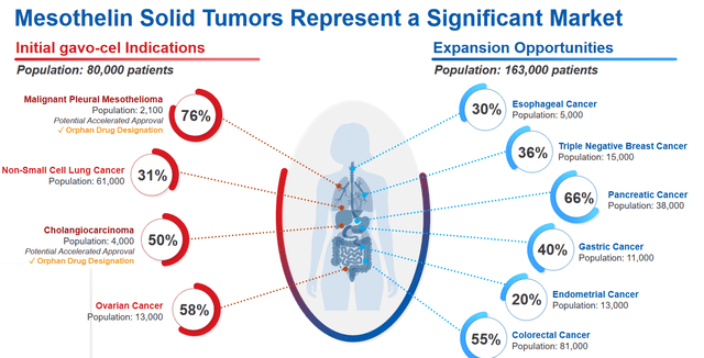 Mesothelin cancer incidence