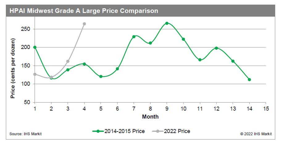 HPAI Midwest Grade A Large Price Comparison
