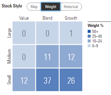 RGT - equity style box