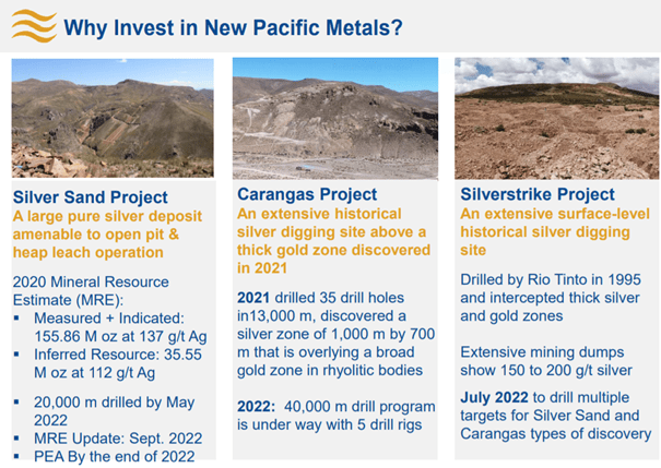 New Pacific Metals assets