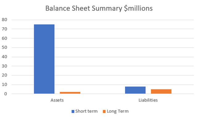 bar chart of arbe balance sheet