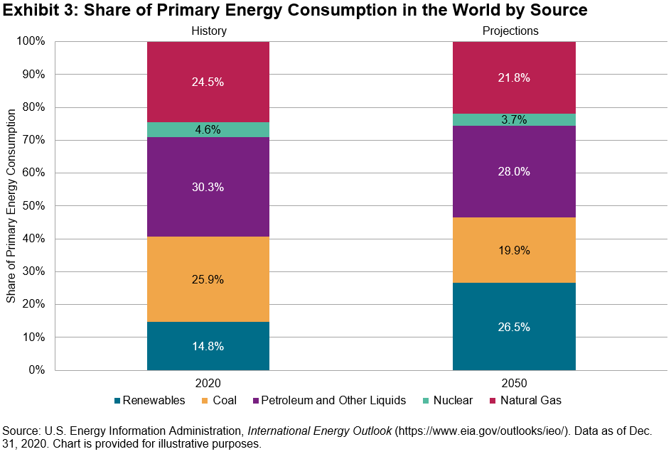 share of primary energy consumption