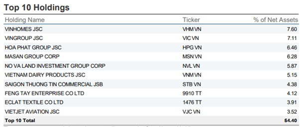 VNM ETF top ten holdings 2022