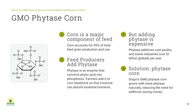 GMO Phytase Image