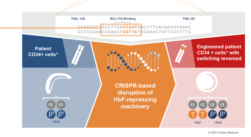 Editas Medicine CRISPR-based technology