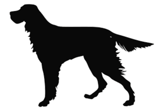 ARI (2) ARISDOG JAUG/22 Open source dog art (7) from dividenddogcatcher.com