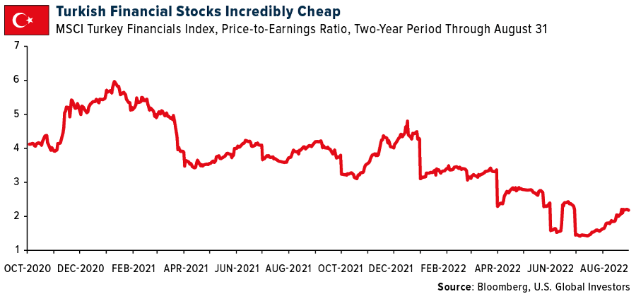 Turkish Financial Stocks Cheap