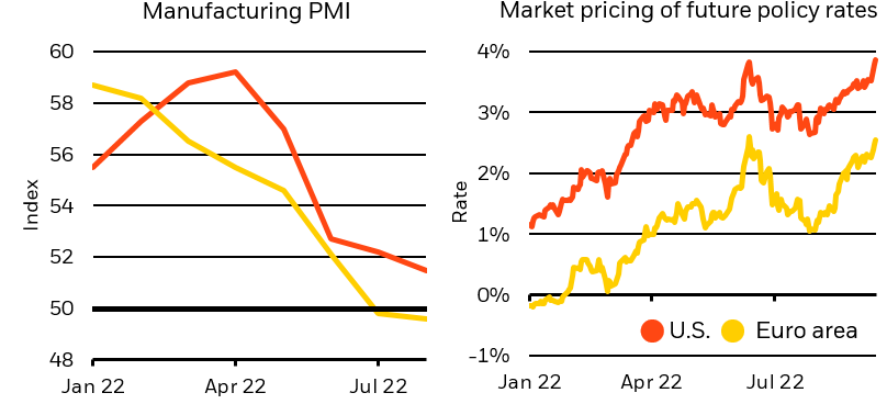 The left chart shows S&P Manufacturing Purchasing Managers’ Indexes - a value below 50 indicates contracting activity. The right chart shows the pricing of expected central bank policy rates via forward overnight index swaps. The rate shown is the one-year OIS rate expected starting one year from now.