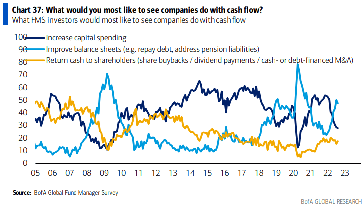 Portfolio managers' capital allocation preferences as of August 2022