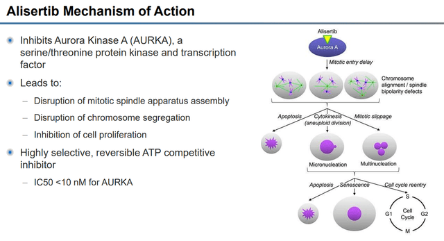 Alisertib Mechanism of Action
