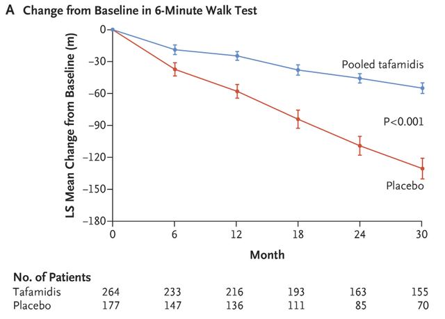 6-minute walk test results of tafamidis in the ATTRACT trial