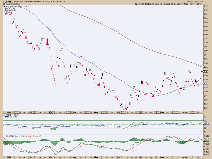 gold/oil
