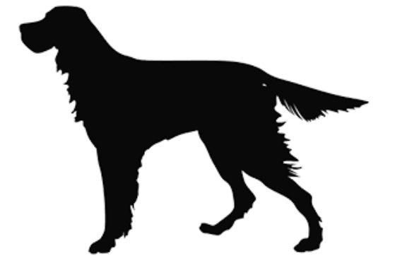 ReFaRo (2) Dog 9/2/22 Open source dog art DDC7 from dividenddogcatcher.com
