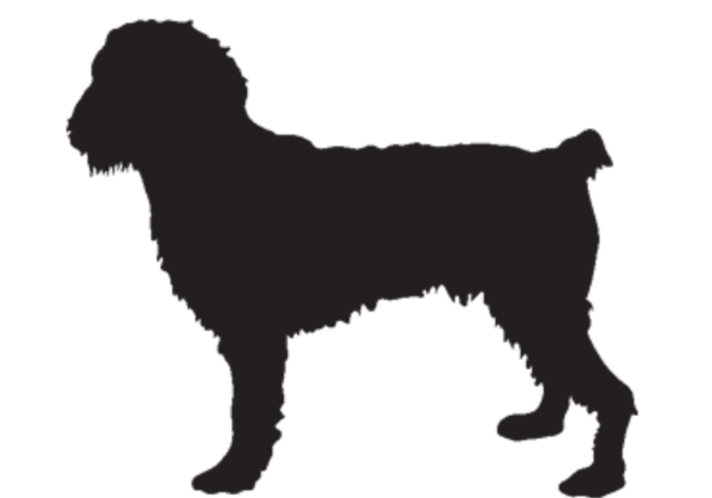 ReReFaRo (2) Dog 12/6/22 Open source dog art DDC5 from dividenddogcatcher.com