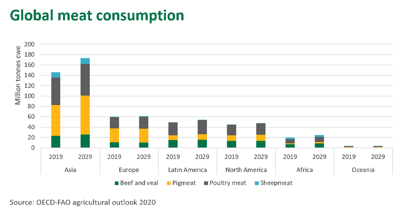 Global Meat Consumption