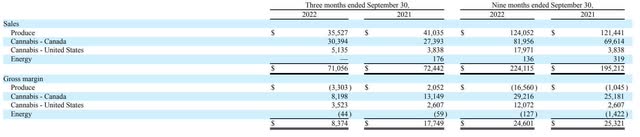 VFF Revenue and Gross Margin by Segment