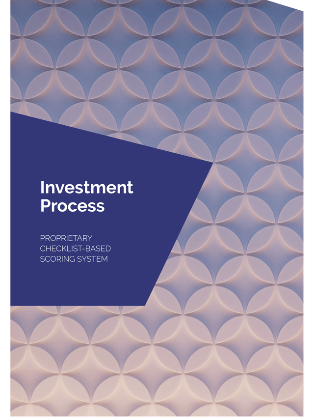 Mayar Capital: Investment Process