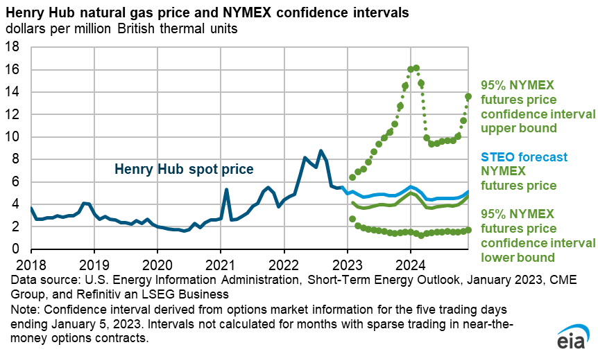 Henry Hub natural gas price and NYMEX confidence interval