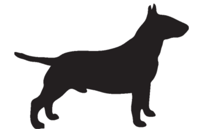 K&P (2) KPDOG FEB/23 Open source dog art (4) from dividenddogcatcher.com