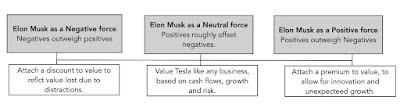 Elon Musk and TSLA