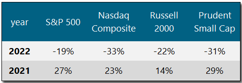 Stock Returns 2021-2022