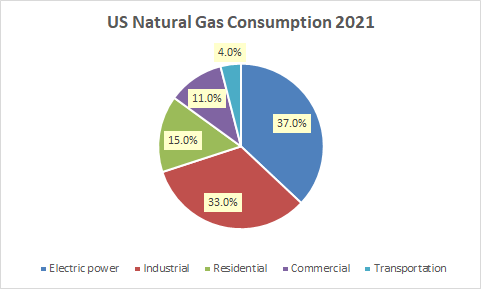 US Natural Gas Consumption 2021