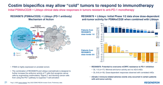 Company presentation slide showing how its bispecifics may allow "cold" tumors to respond to immunotherapy