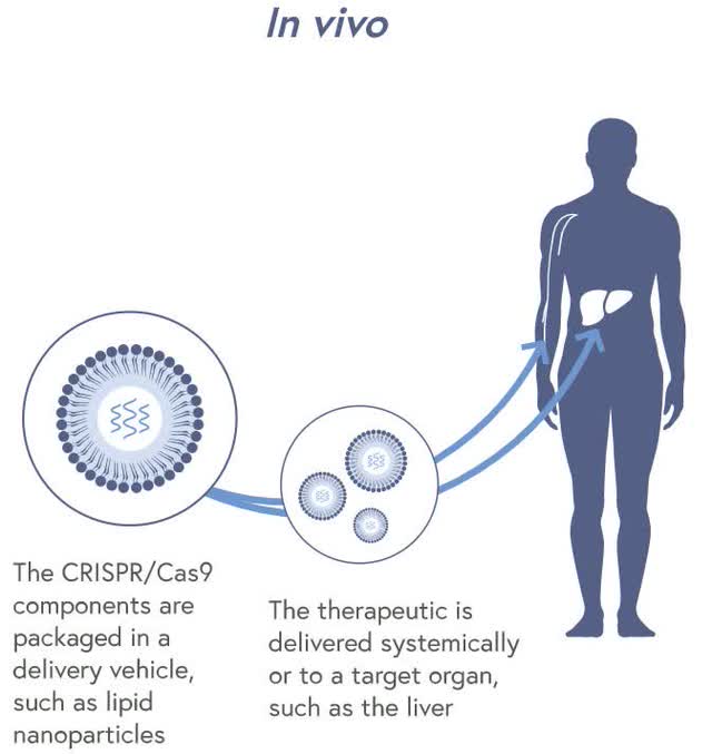 how in vivo CRISPR-Cas9 gene editing works