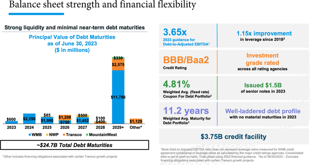 williams debt