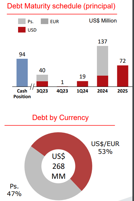 Loma Negra debt