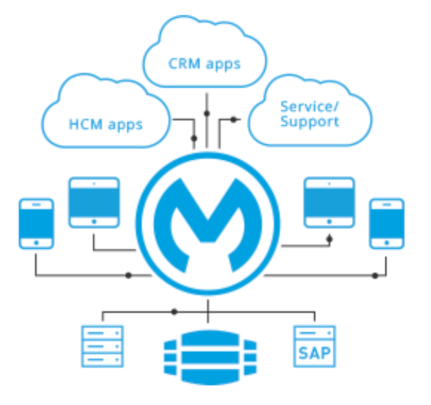 MuleSoft integration