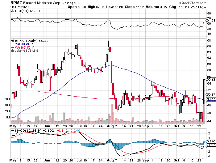 Blueprint Medicines' Ayvakit: Capturing The ISM Niche (Rating Upgrade ...