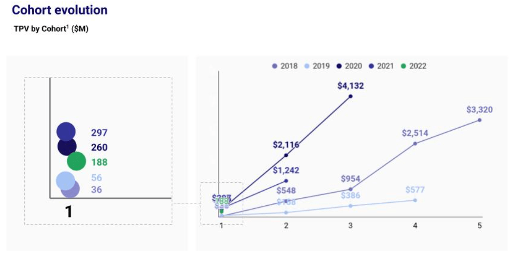 line chart showing the cohort evolution of dLocal merchants