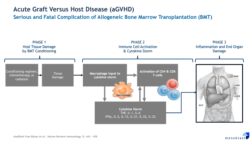 Holding The Fort: Mesoblast's Path Towards Overcoming FDA Rejection ...