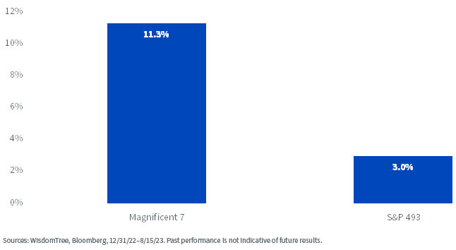 Contribution of the Magnificent 7 Year-to-Date in the S&P 500