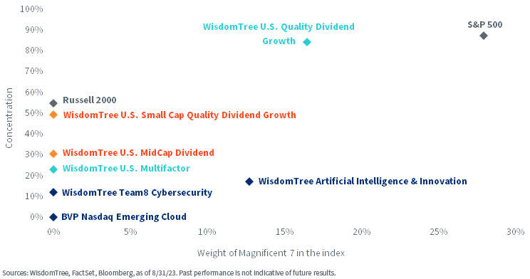 Concentration and Magnificent 7 Weights in Different Indexes