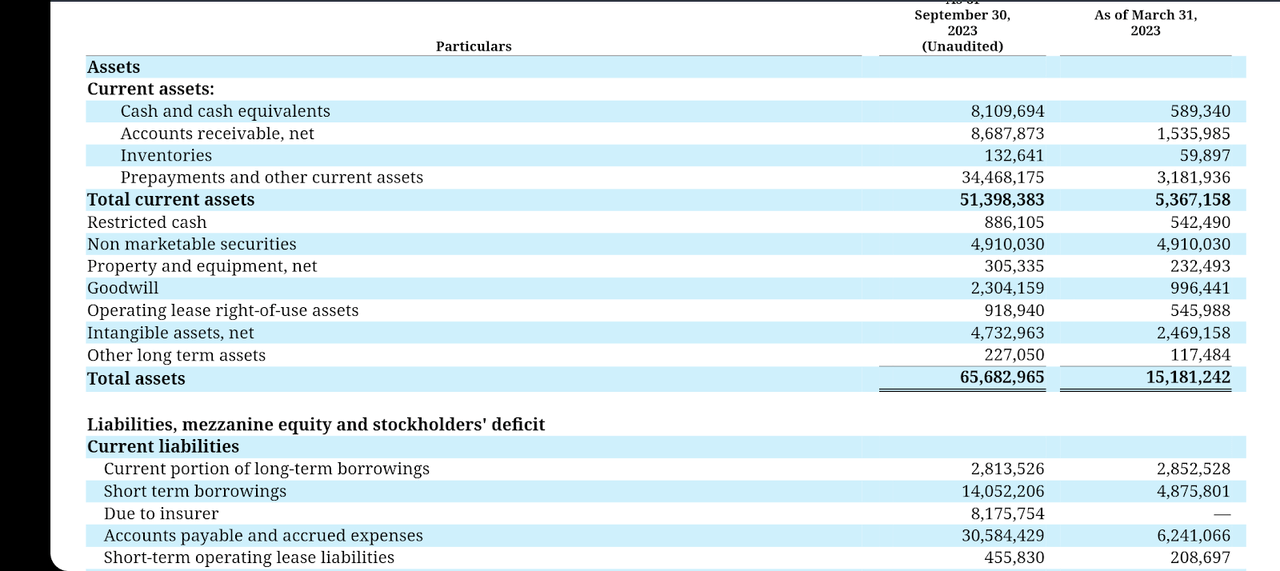 Roadzen Balance Sheet