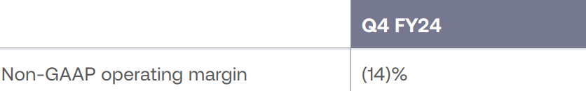 SentinelOne fiscal Q3 2024