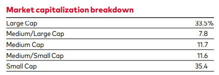 Figure 5: Market capitalization analysis