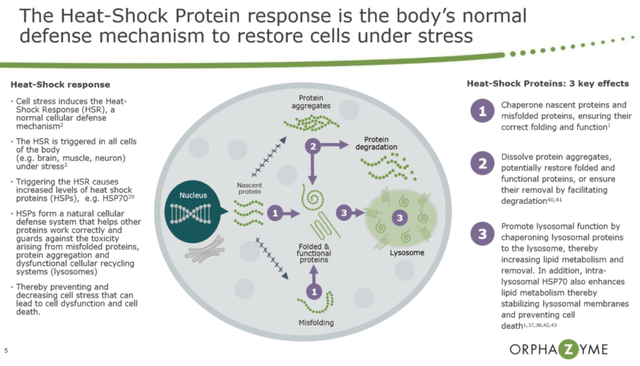 Arimoclomol mechanism of action