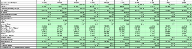 Ten Year Valuation Model