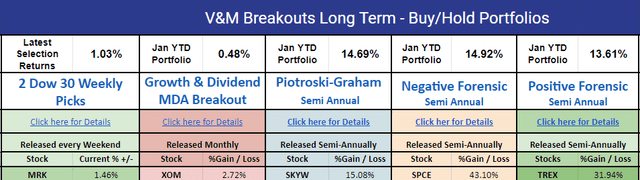 Long Term VM Breakout portfolios