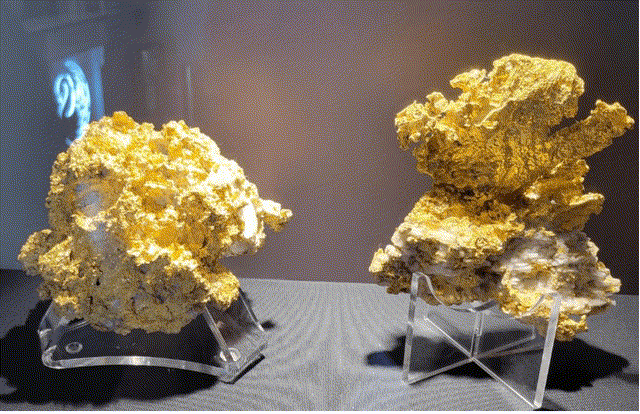 Beta Hunt Coarse Gold