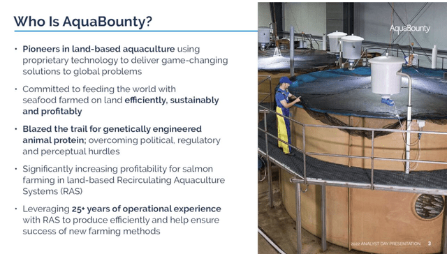 Slide introducing AquaBounty