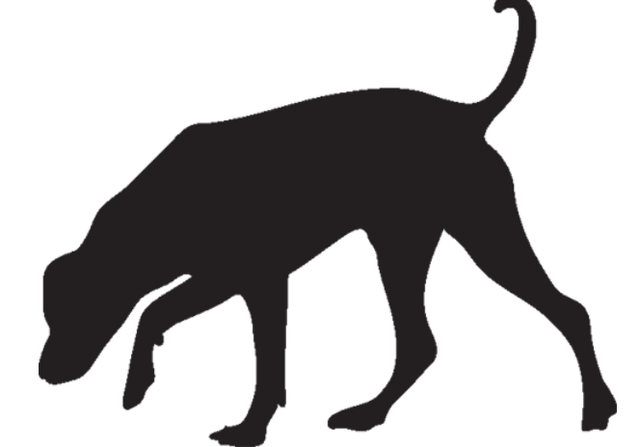 KBIB22 (2) FEB23-24 Open source dog art DDC2 from dividenddogcatcher.com