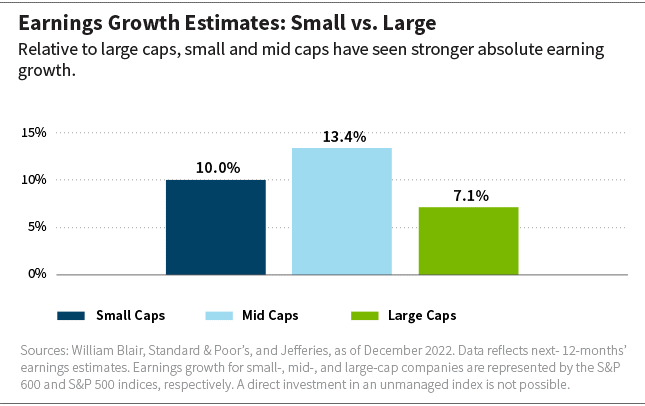 Earnings Growth Large Small
