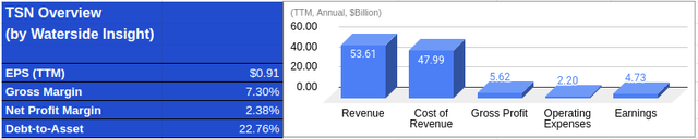 Tyson Financial Overview