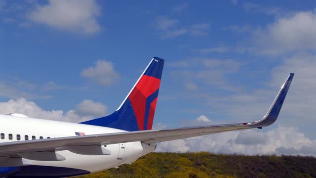 This pictures shows a Boeing 737 Delta Air Lines aircraft tail.